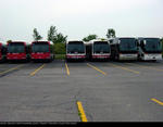 ttc-orion-buses-awaiting-delivery-2009.jpg
