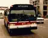 Bay Shuttle Bus