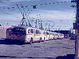 Montreal trolley coaches, by P. Lambert